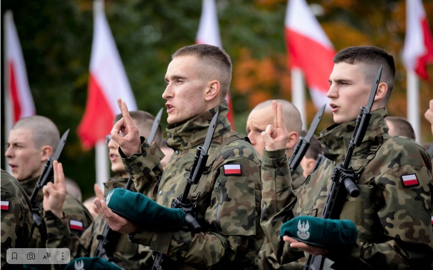 В вооруженных силах Польши зафиксирован самый высокий набор в 2022 году с момента окончания обязательной военной службы