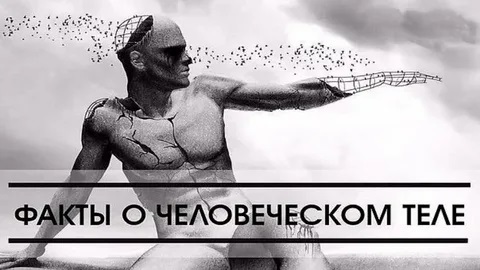 10 удивительных фактов о человеческом теле, о которых вы никогда не знали