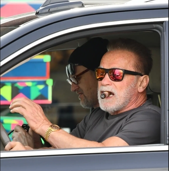 Арнольд Шварценеггер "попал в автомобильную аварию после того, как велосипедистка выехала на его полосу".