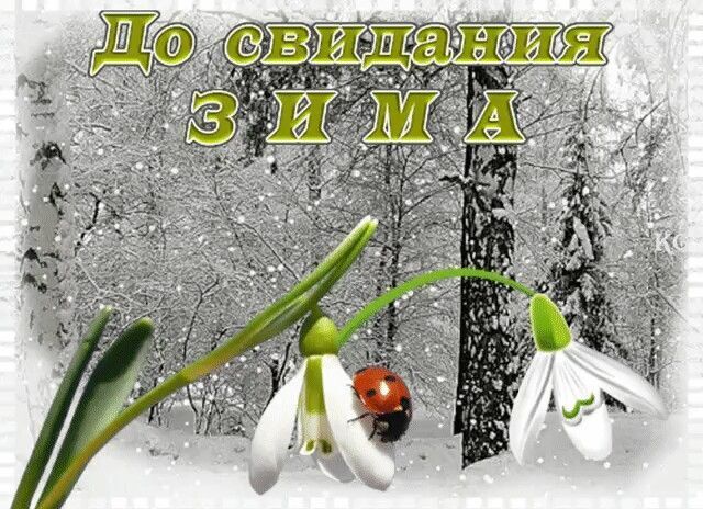 «Психологические преимущества весны: изучение мифов и реалий»