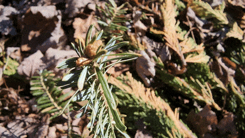 Стал ли Galaxy S23 Ultra наконец-то лучше фотографировать движущиеся объекты?