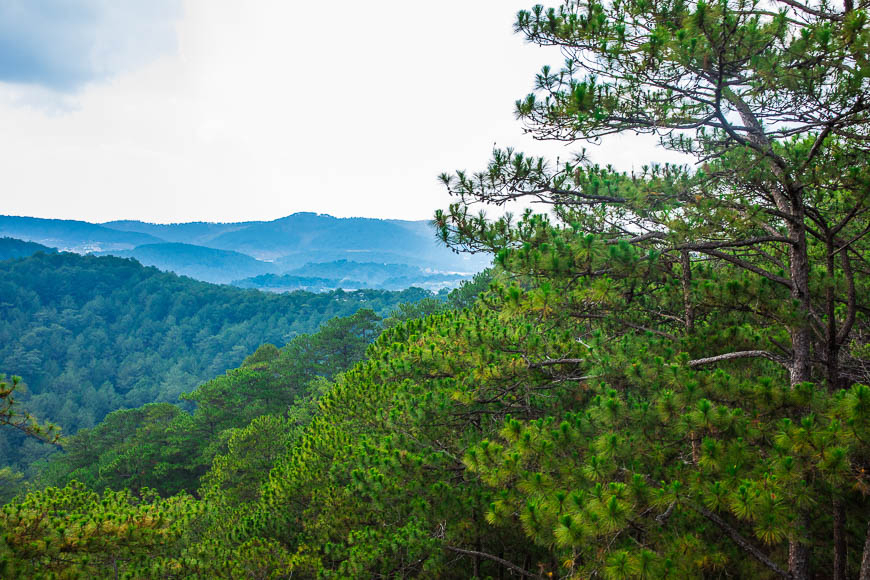 Мой Далат: Фу Нгуен.