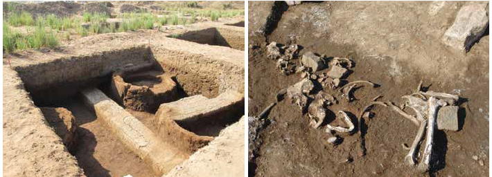 Новые раскопки в древнеегипетском городе Тмуис раскрывают бурные события вокруг Розеттского камня.