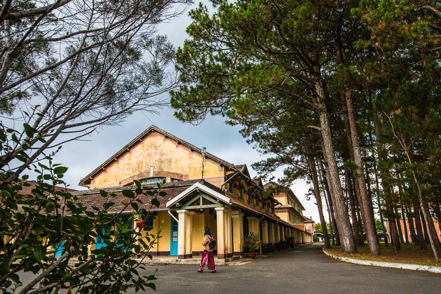 Мой Далат: Фу Нгуен.