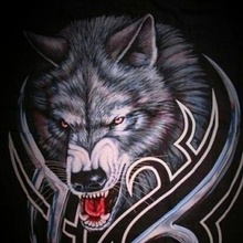 Дмитрий, г. Краснодар