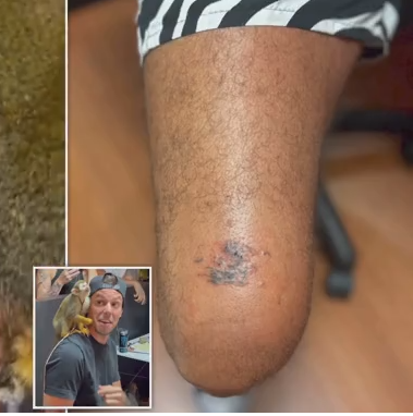 Человеку делает татуировку Обезьяна