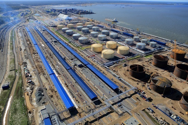 Россия станет мировым лидером в объемах экспорта подсолнечного масла