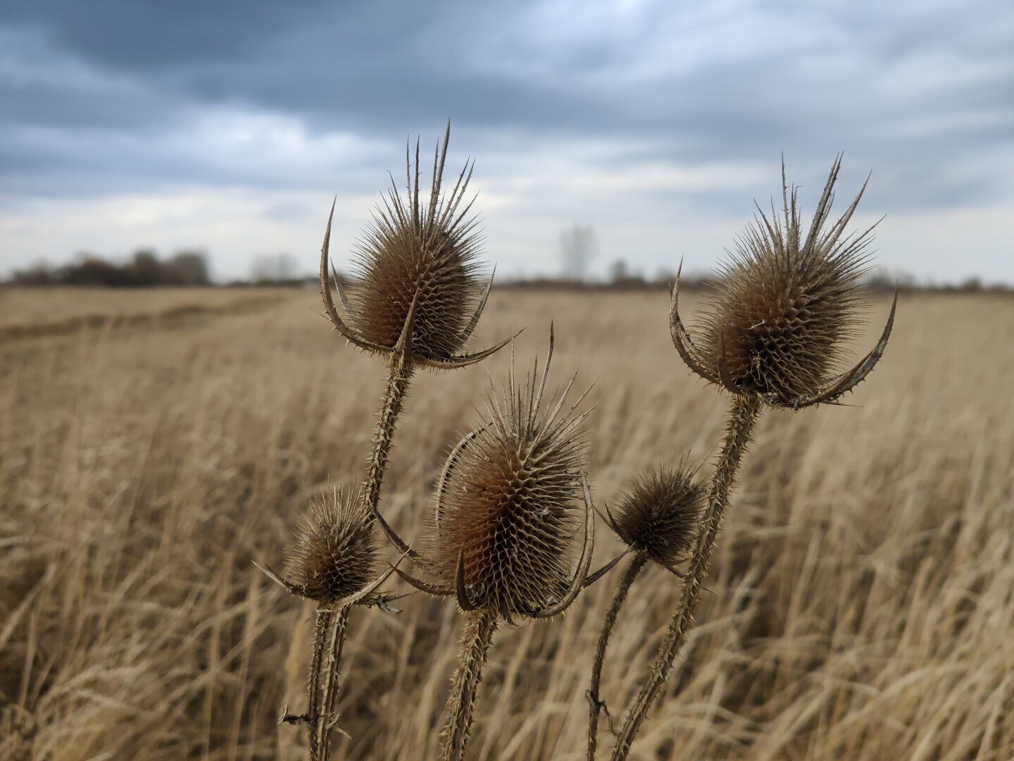 Краснодарский край не случайно притягивает многих россиян. Происходит это благодаря их генетической памяти