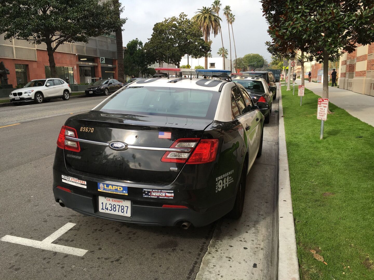 Собака Отказывается Позволять Ребенку Спать Одному