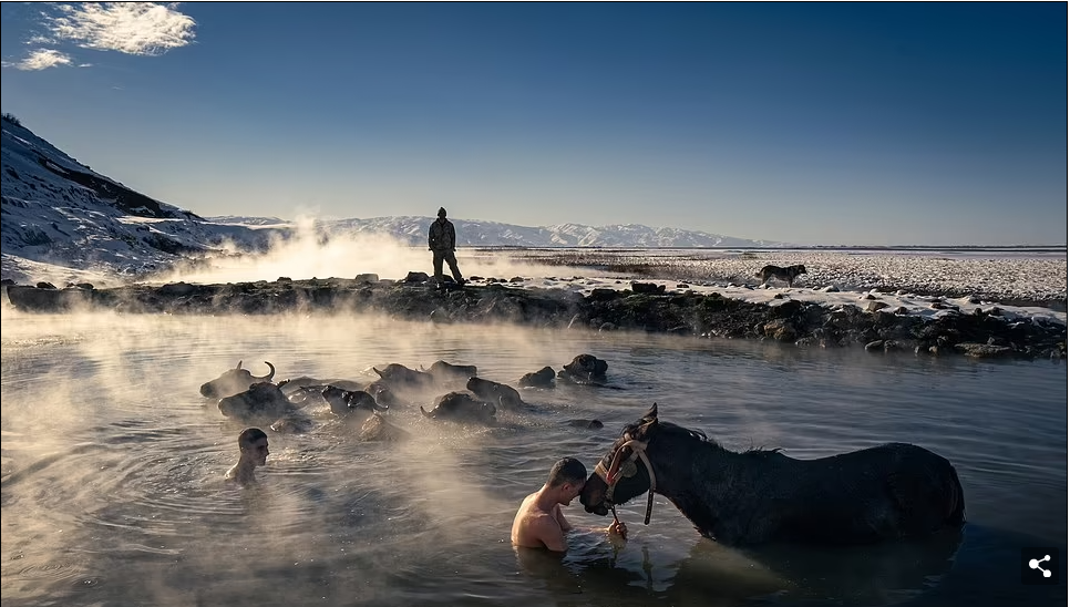 В 2023 Sony World Photography Awards представлены лучшие отдельные снимки из 55 стран, принявших участие