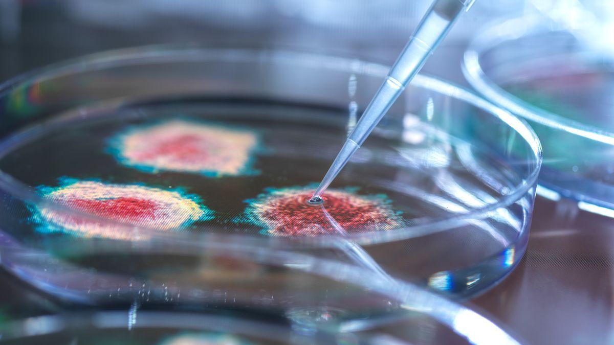 Вирус Covid может повысить риск заражения другими серьёзными заболеваниями