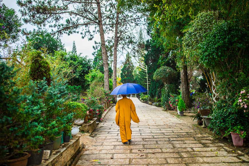 Мой Далат: Фу Нгуен.