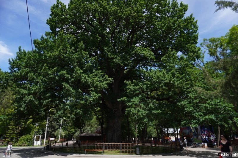 Мистическая плоскость.