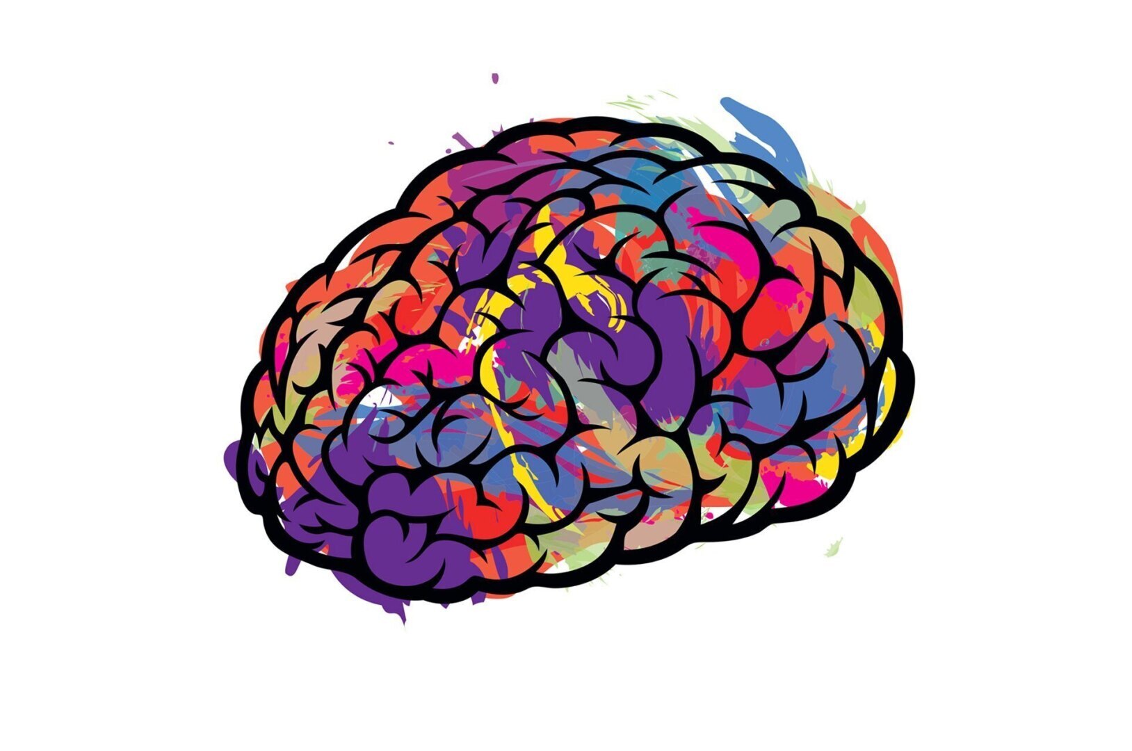 Самый главный и загадочный орган нашего организма!