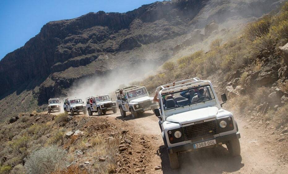 Отпуск в Ориндж-Бей