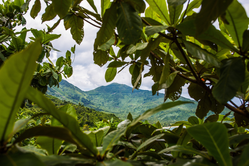 Что обязательно нужно сделать в Дананге.