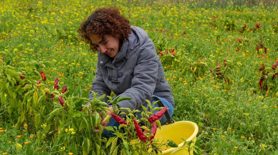 Малоизвестные уголки Сицилии
