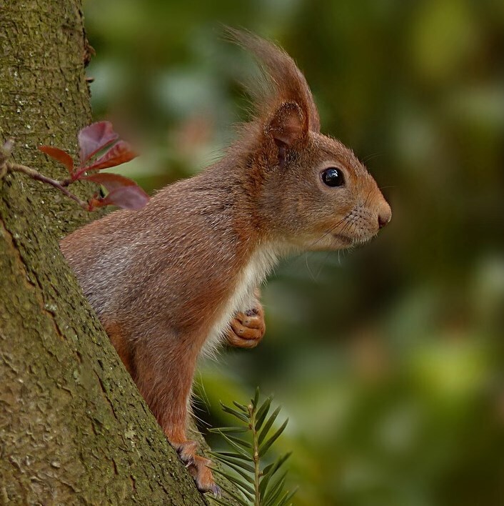 Несколько слов про белок