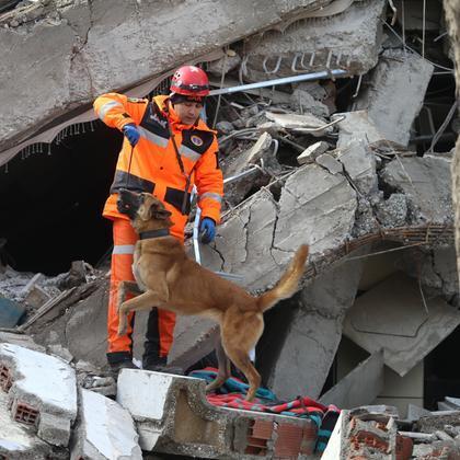 Мемориальная доска жертвам землетрясения в Турции и Сирии