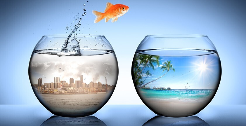 Что вы делаете со своей жизнью?