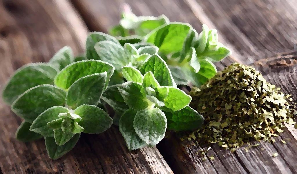 Как в короткий срок избавиться от головных болей.