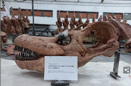 Самый большой динозавр Земли приземлился в Британии