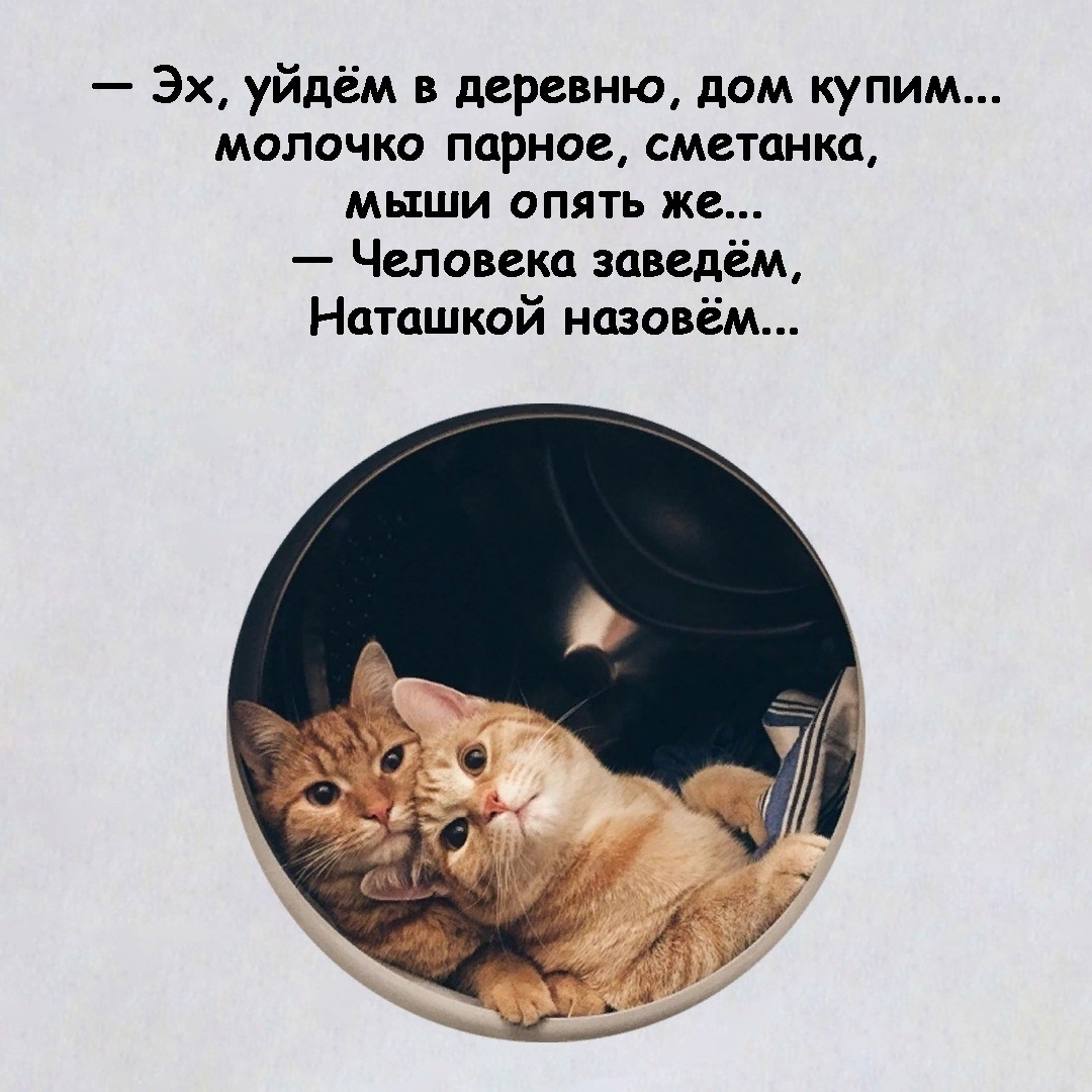 Смех во время чумы, или посмеемся в обеденный перерыв?