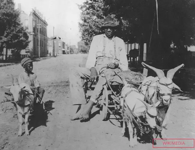 Второй по высоте человек в истории: Джон «Бад» Роган.