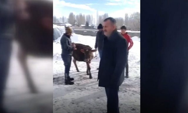 Продает говядину , жертвует деньги пострадавшим от землетрясения