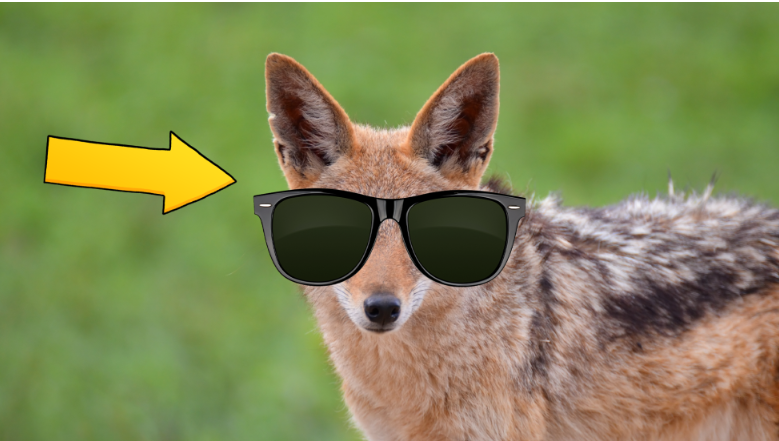 15 интересных фактов об Анубисе, египетском боге