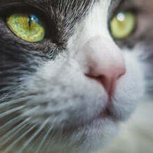 Ладин Дмитрий Николаевич, г. Самара