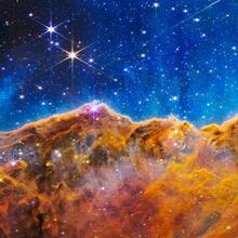 Тони, г. Санкт-Петербург