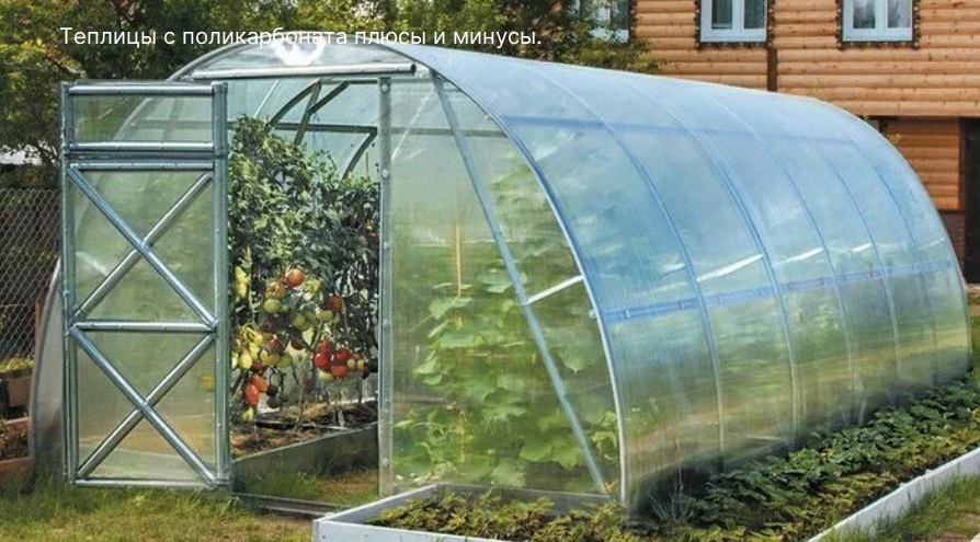 Теплицы с поликарбоната плюсы и минусы.