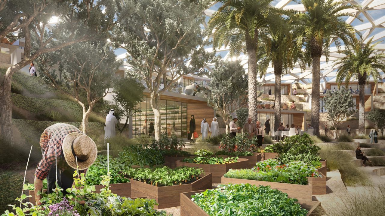 В Дубае может появиться 93-километровая крытая велосипедная супермагистраль