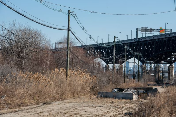 Воспитательница детского сада из Джерси-Сити найдена мертвой в неглубокой могиле в Кирни.