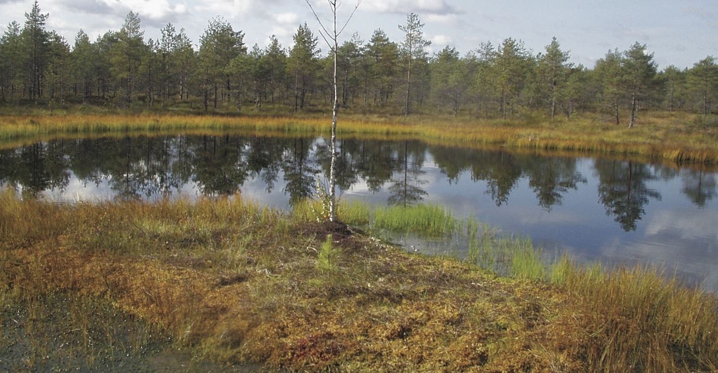 Почему мелеют и исчезают реки???