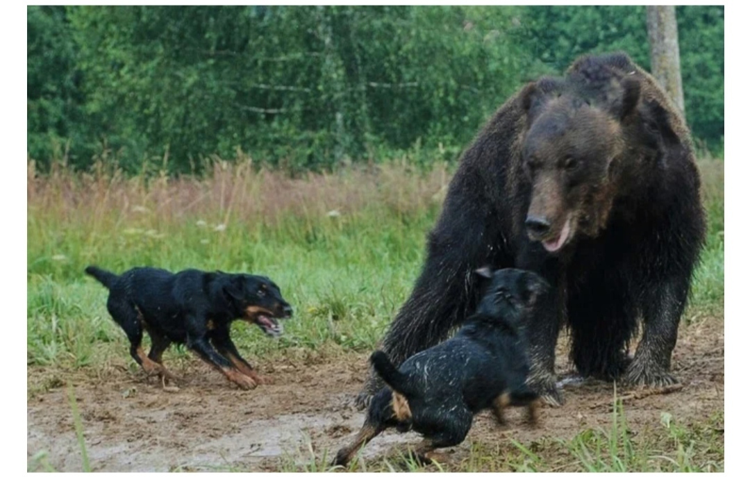 А Владимир Владимирович БУРМАТОВ – против!