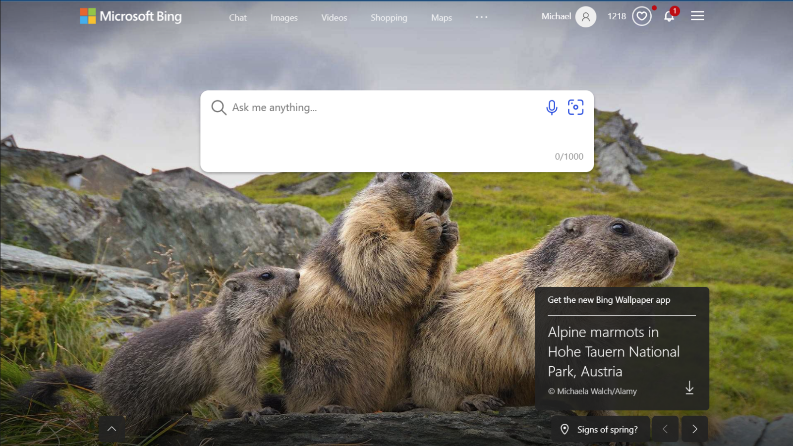 ChatGPT и еще 15 причин отказаться от Google в пользу Bing от Microsoft