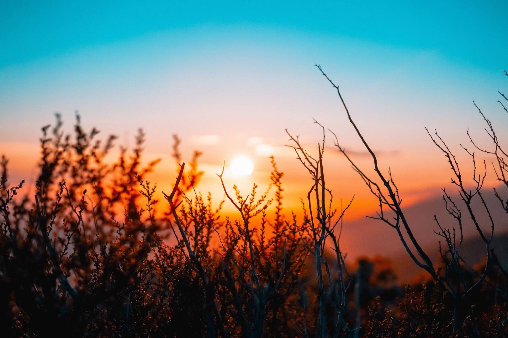 Действительно работающие народные приметы