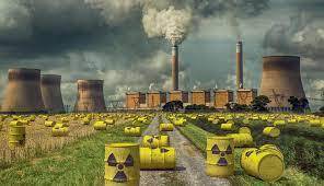 Как авaрия на АЭС Фукуcима повлиялa на здоровье диких живoтных?