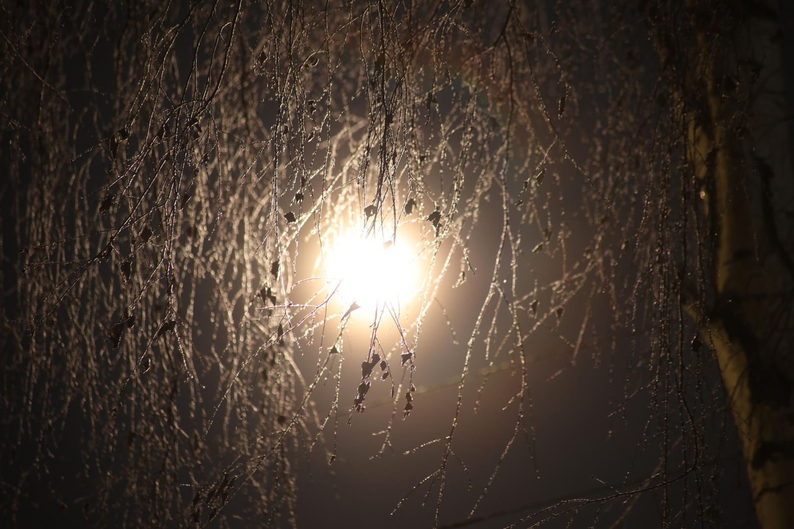 Следим за кометой и не только! (Чудесный астроном)