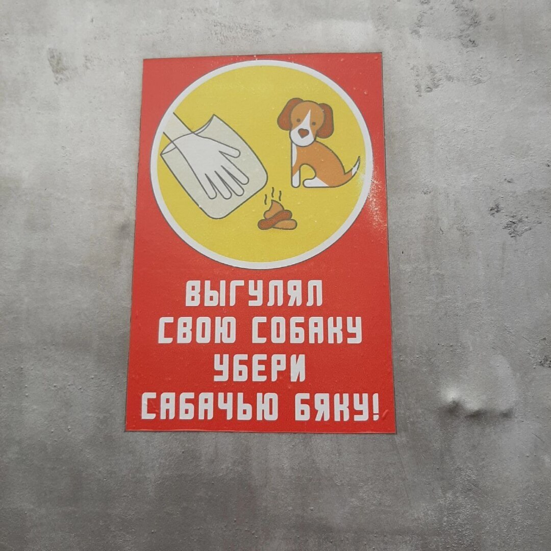 Некоторых владельцев собак надо воспитывать, но как? Может закон принять, штрафовать, чтобы в их головах разруху вылечить