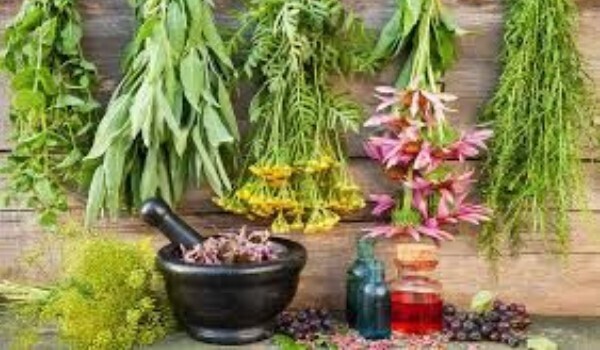 Откройте для себя лучший эликсир для здоровья и красоты: польза алтайских и тибетских трав в жидкой форме