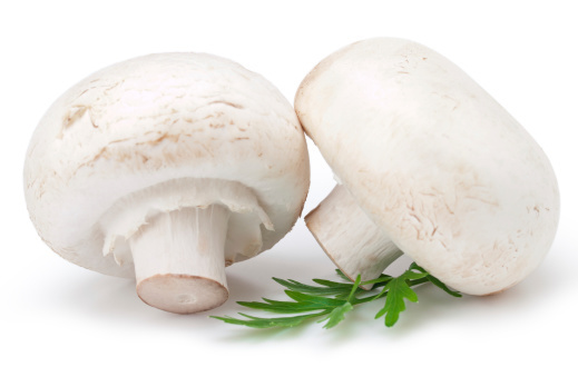 Самые полезные грибы и что мы о них знаем.