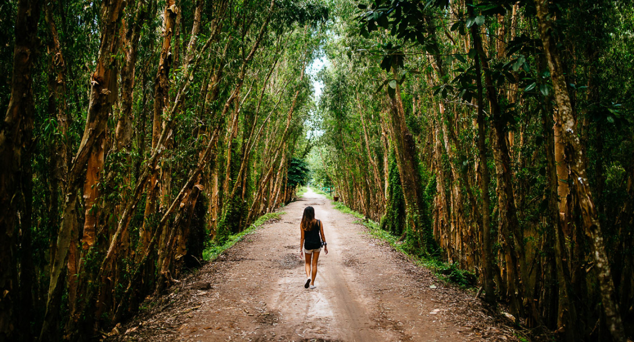 4 незабываемых дня в дельте Меконга.