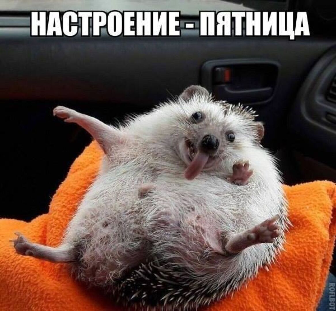 Первый шаг - он трудный самый!