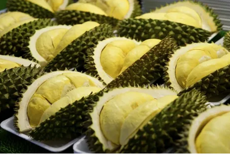 Дуриан. Афродизиак, кладезь полезного и нестерпимо вонючий запах.