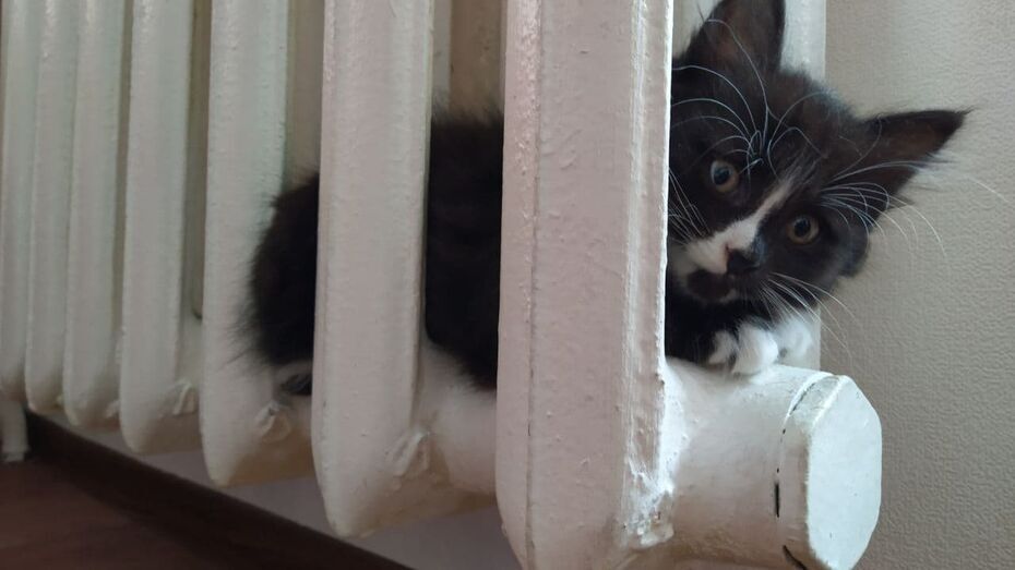 Как выжить, если у вас отключат отопление