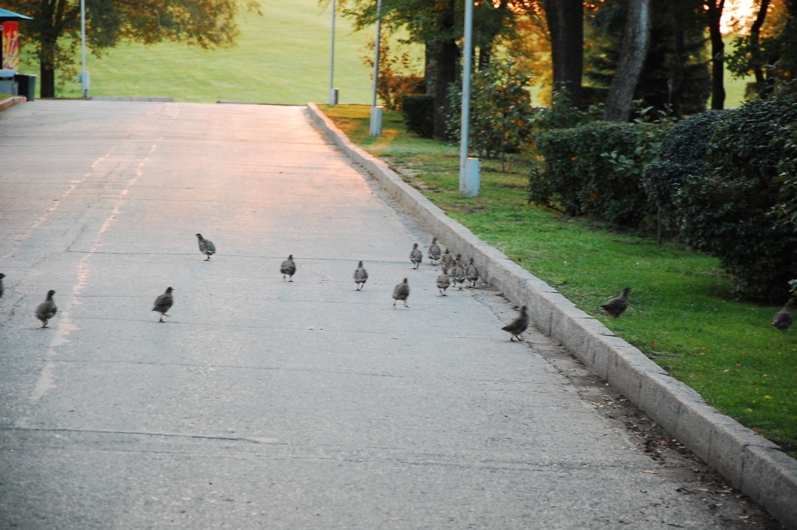 БОЛЬШОЕ ПУТЕШЕСТВИЕ Новокузнецк - Ставрополь