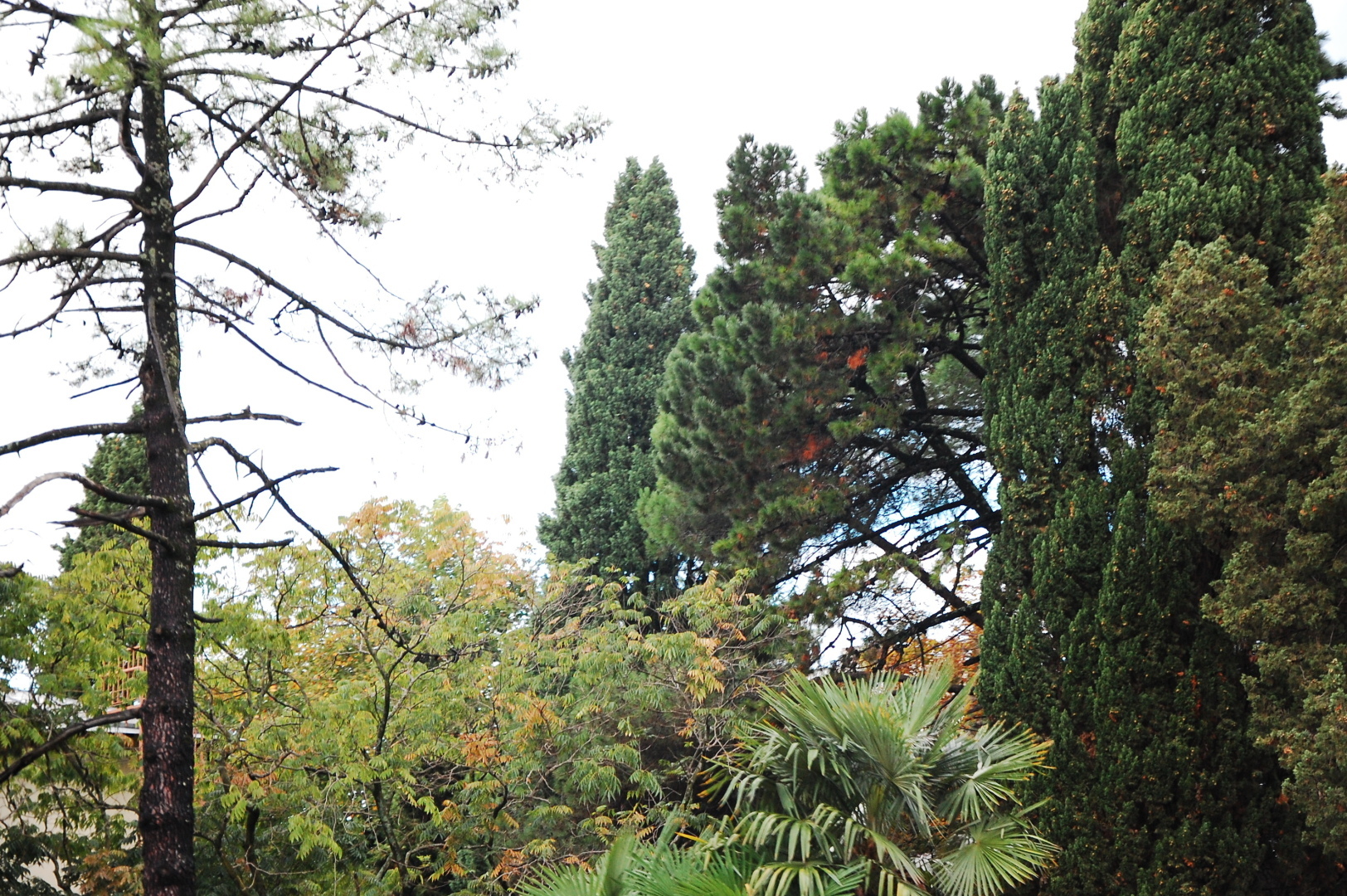 БОЛЬШОЕ ПУТЕШЕСТВИЕ Новокузнецк - Ставрополь